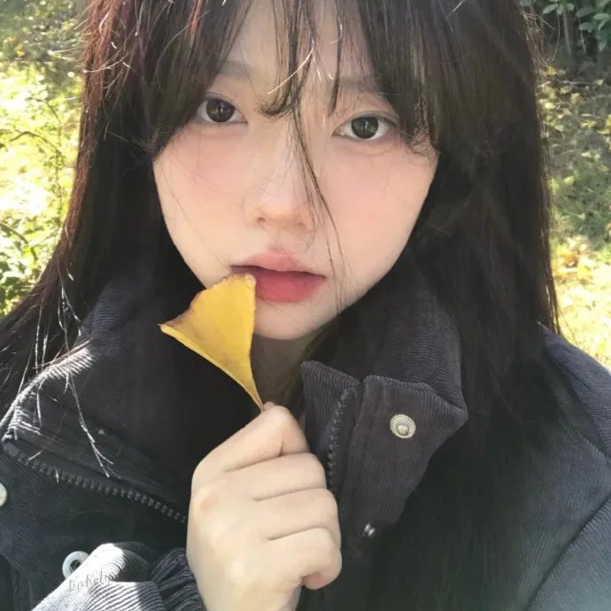 芝加哥派对阿姨第一季